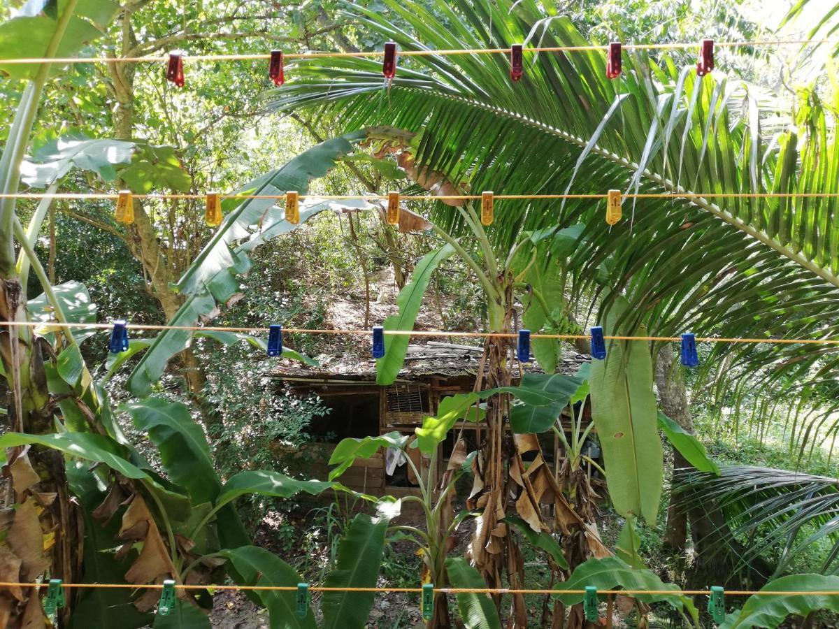 Sea Breeze Garden Hotel Tangalle Eksteriør billede
